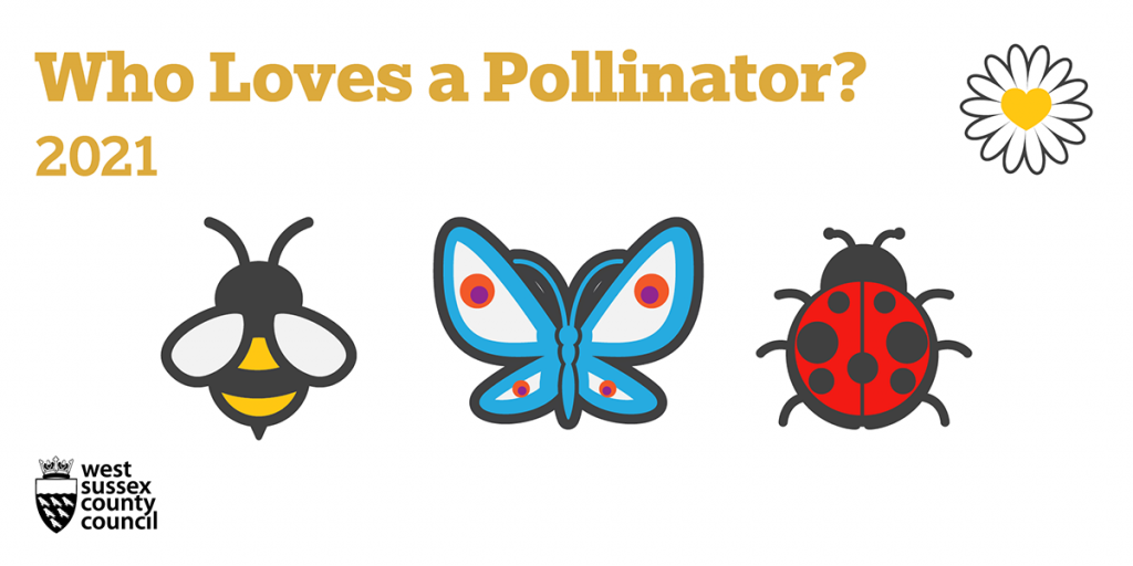 Who Loves a Pollinator? 2021